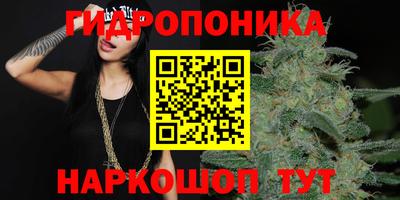 дживик Краснодар
