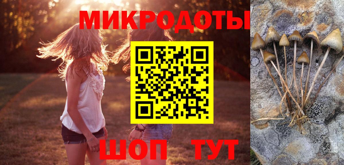 Галлюциногенные грибы прущие грибы Комсомольск-на-Амуре