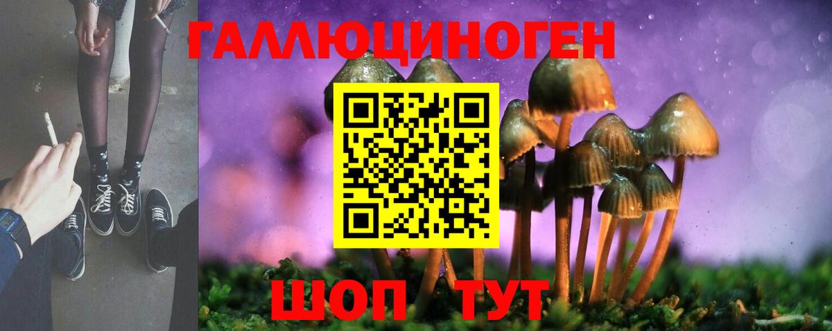 Комсомольск-на-Амуре  купить   Вход с VPN  Галлюциногенные грибы мицелий 